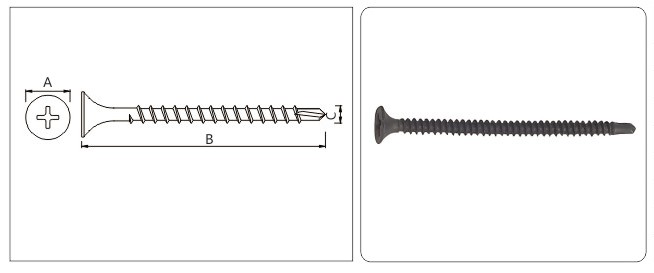 Phill Drywall Screw Drilling Point drawing.jpg